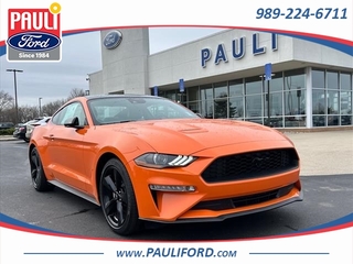 2021 Ford Mustang for sale in Loveland OH