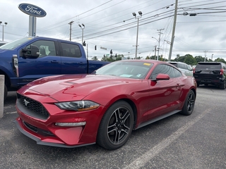 2022 Ford Mustang for sale in Knoxville TN