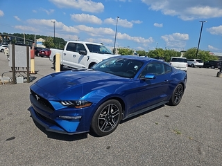 2023 Ford Mustang for sale in Rockingham NC