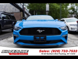 2023 Ford Mustang for sale in Olathe KS