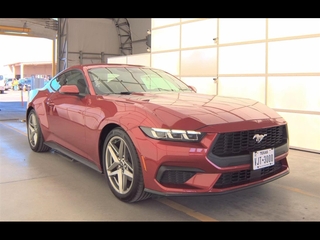 2024 Ford Mustang for sale in Dallas TX