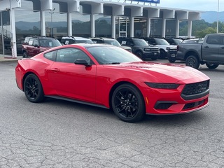 2026 Ford Mustang for sale in Waynesville NC