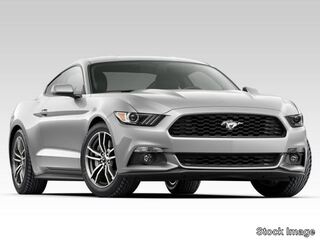2017 Ford Mustang for sale in Bowling Green KY
