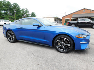 2018 Ford Mustang for sale in Clarksville TN