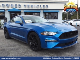 2019 Ford Mustang for sale in Orlando FL