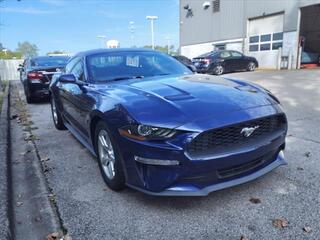 2019 Ford Mustang for sale in Clarksville TN