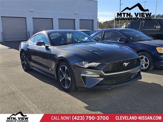 2020 Ford Mustang for sale in Mcdonald TN