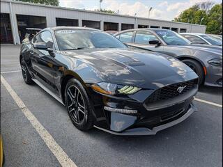2020 Ford Mustang for sale in Bowling Green KY