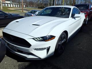 2023 Ford Mustang for sale in Summit NJ