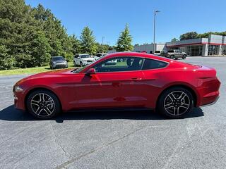 2023 Ford Mustang for sale in Morristown TN