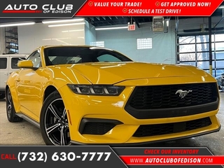 2024 Ford Mustang for sale in Woodbridge NJ