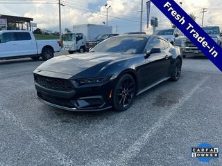 2024 Ford Mustang for sale in Knoxville TN