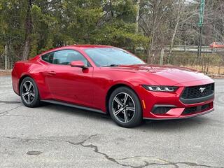 2024 Ford Mustang for sale in Canton NC