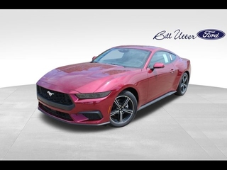 2025 Ford Mustang for sale in Denton TX