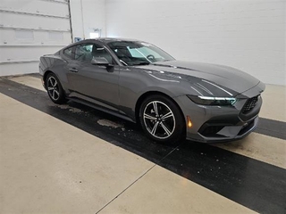 2025 Ford Mustang for sale in Dallas TX