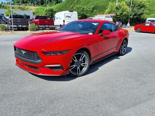 2025 Ford Mustang for sale in Bristol TN
