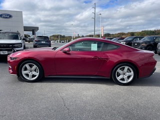 2026 Ford Mustang for sale in Dandridge TN