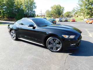 2015 Ford Mustang for sale in Clarksville TN