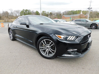 2016 Ford Mustang for sale in Clarksville TN