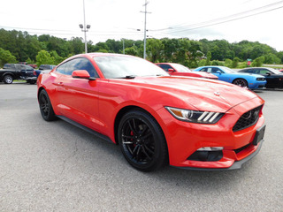 2017 Ford Mustang for sale in Clarksville TN