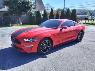 2019 Ford Mustang for sale in Princeton WV