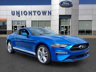 2019 Ford Mustang for sale in Uniontown PA