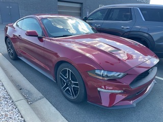 2019 Ford Mustang for sale in Burlington NC