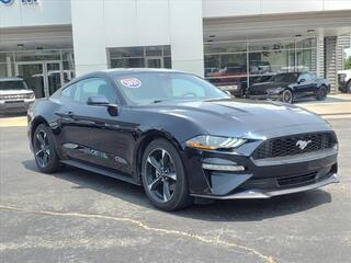 2021 Ford Mustang for sale in Bowling Green KY