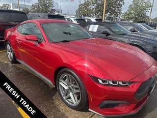 2024 Ford Mustang for sale in Rosenberg TX
