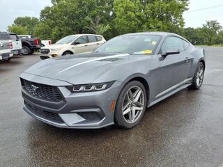 2024 Ford Mustang for sale in Shelby NC