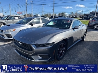 2025 Ford Mustang for sale in Knoxville TN