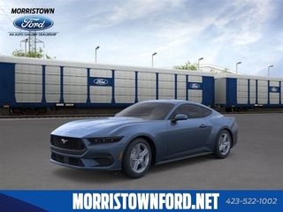 2026 Ford Mustang for sale in Morristown TN