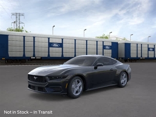 2026 Ford Mustang for sale in Wellesley MA