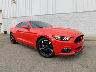 2015 Ford Mustang for sale in Clarksville TN