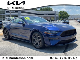 2019 Ford Mustang for sale in Pendleton SC