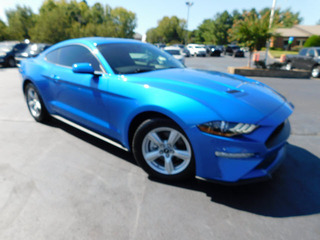 2019 Ford Mustang for sale in Clarksville TN