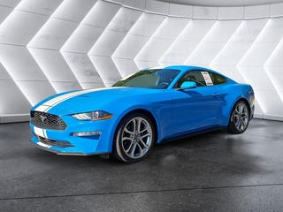 2022 Ford Mustang for sale in Knoxville TN