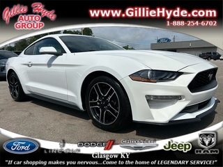 2023 Ford Mustang for sale in Glasgow KY