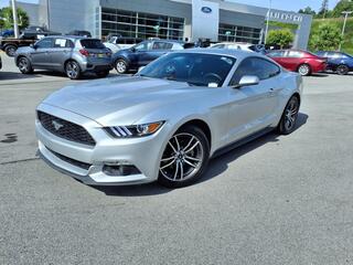 2017 Ford Mustang for sale in Bristol TN