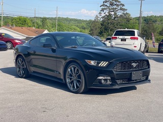 2017 Ford Mustang for sale in Knoxville TN