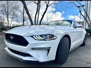 2022 Ford Mustang for sale in Louisville KY