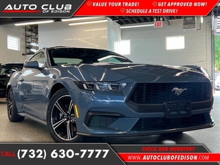 2024 Ford Mustang for sale in Woodbridge NJ