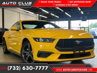 2024 Ford Mustang for sale in Woodbridge NJ