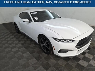 2024 Ford Mustang for sale in Dallas TX