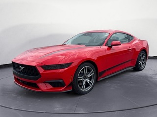 2025 Ford Mustang for sale in Knoxville TN