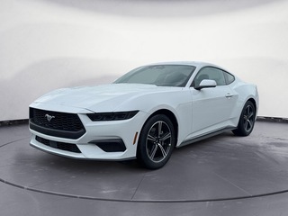 2025 Ford Mustang for sale in Knoxville TN