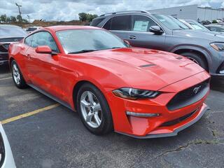 2019 Ford Mustang for sale in Woodhaven MI