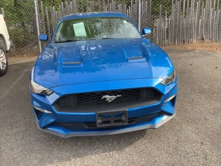 2019 Ford Mustang for sale in Lexington NC