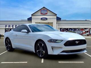 2022 Ford Mustang for sale in Mcalester OK