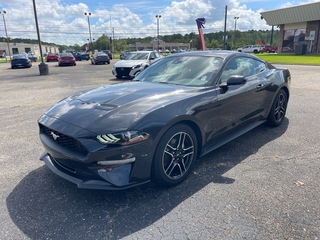 2023 Ford Mustang for sale in Dothan AL